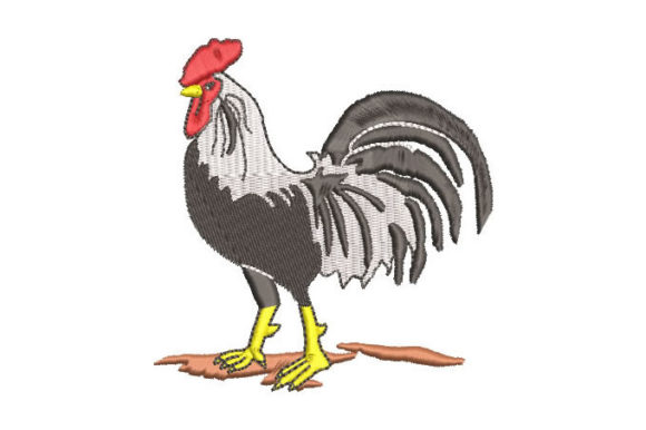 Black and White Rooster
