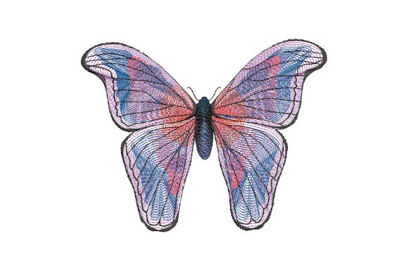Blue Butterfly with Large Wings