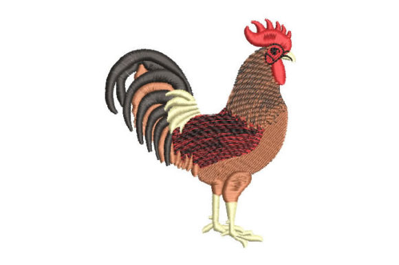 Fighting Cock
