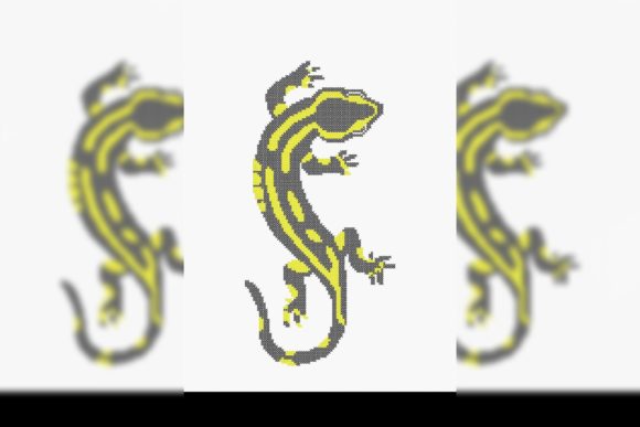Fire Salamander